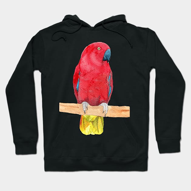 eclectus parrot watercolor red Hoodie by Oranjade0122